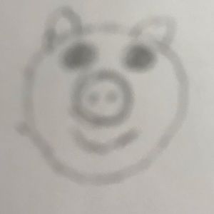 Meet your Posher, Annika